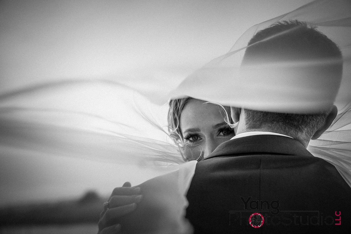 Wedding photo 2