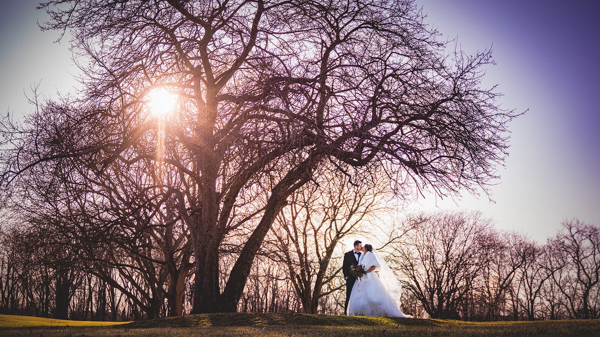 Wedding photo 19