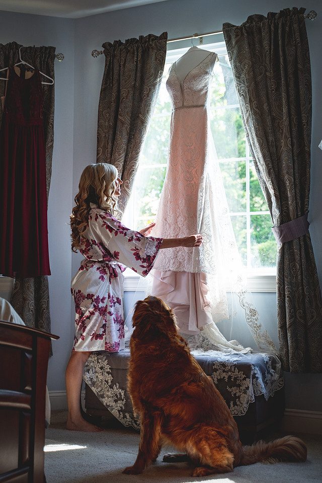 Wedding photo 53