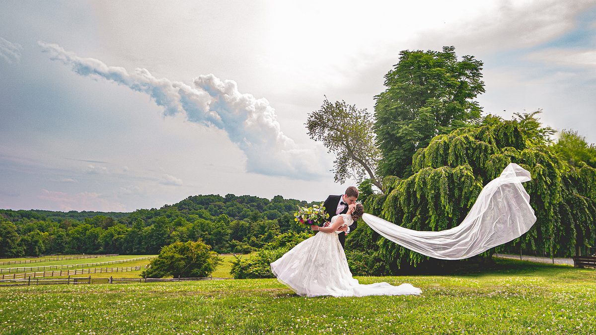 Wedding photo 66
